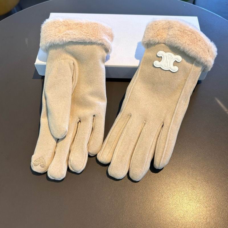 Celine gloves hm (9)
