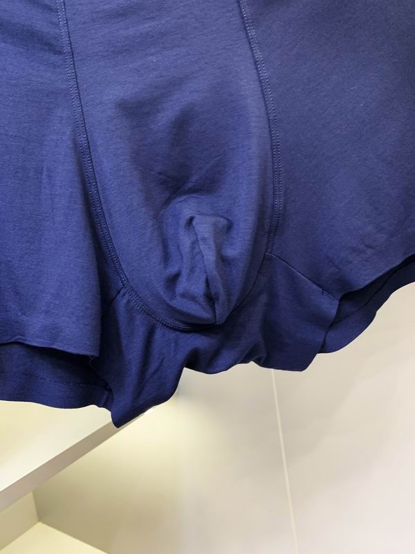 Chrome Hearts boxer L-3XL  (4)