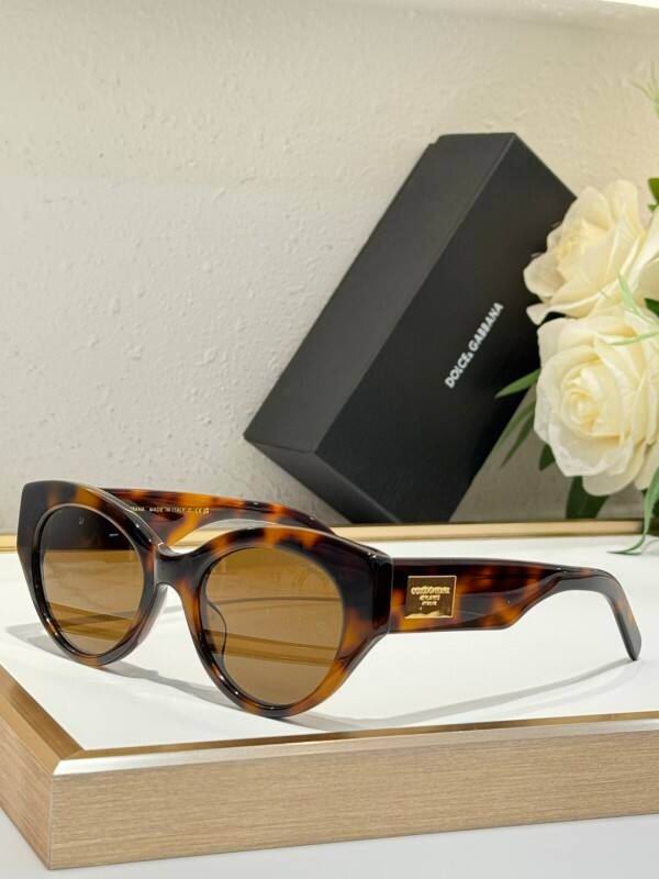 DG Glasses 08smh24 (2)