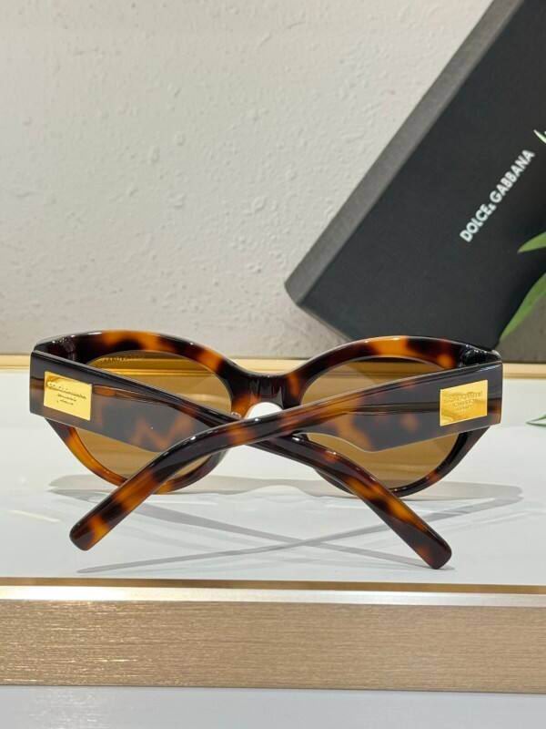 DG Glasses 08smh24 (8)