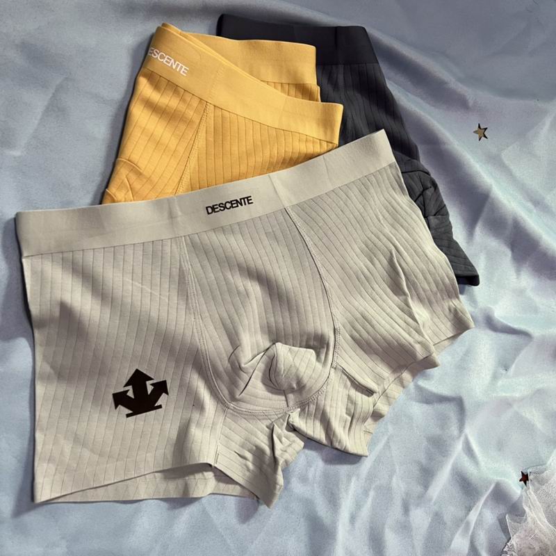Descente boxer L-3XL  (2)