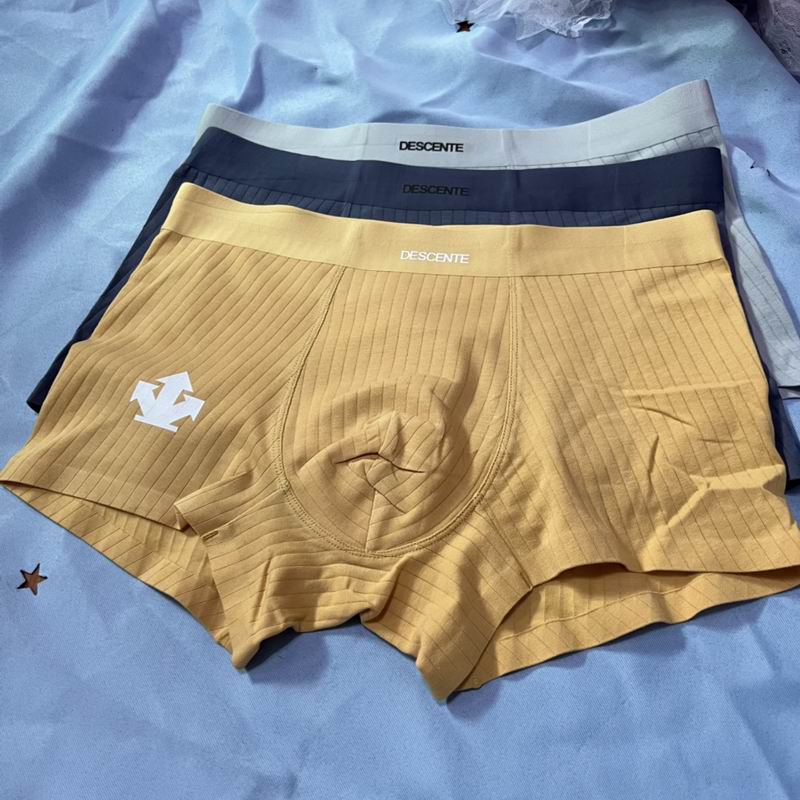 Descente boxer L-3XL  (4)