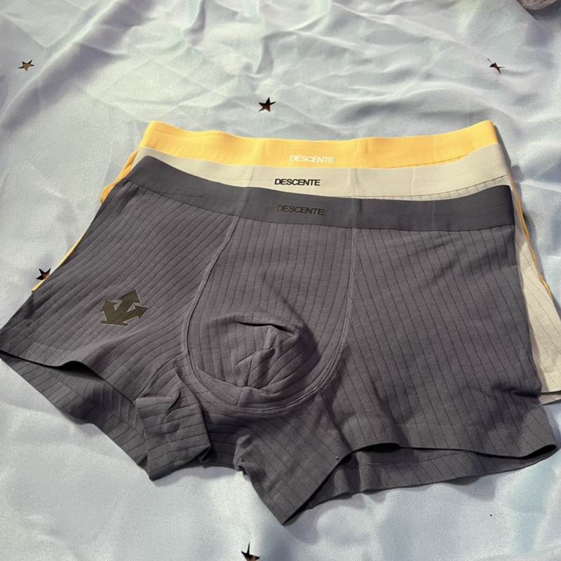 Descente boxer L-3XL  (9)