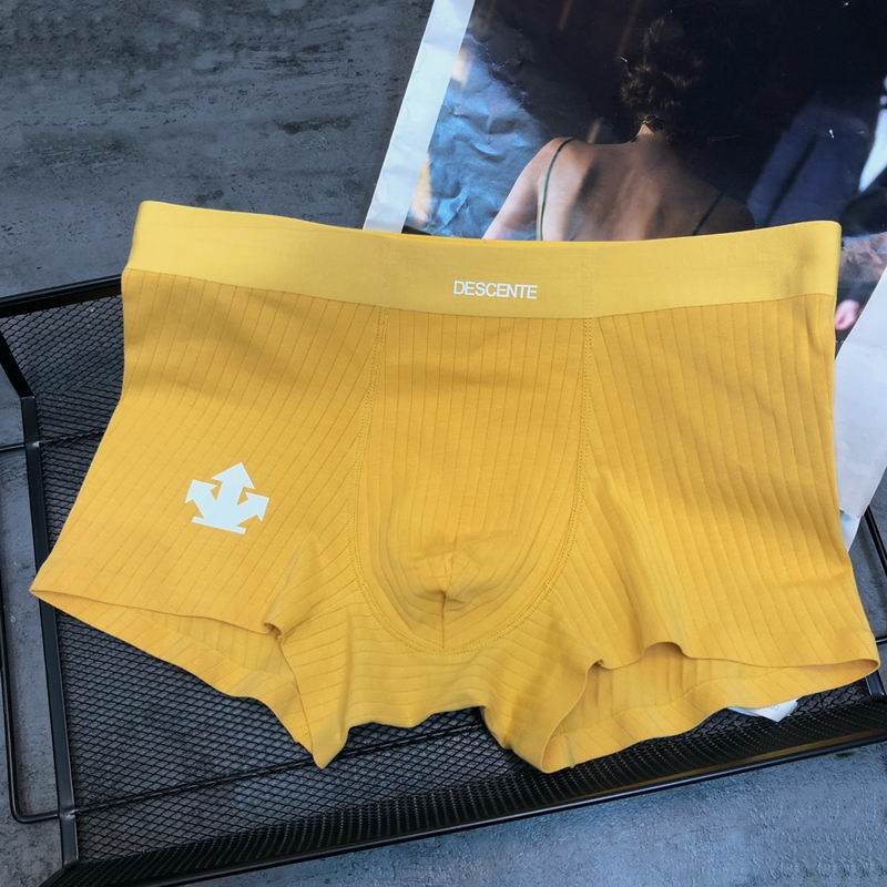 Descente boxer L-3XL   (2)