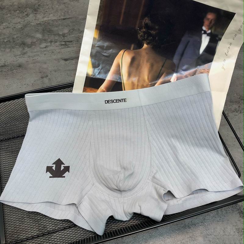 Descente boxer L-3XL   (5)