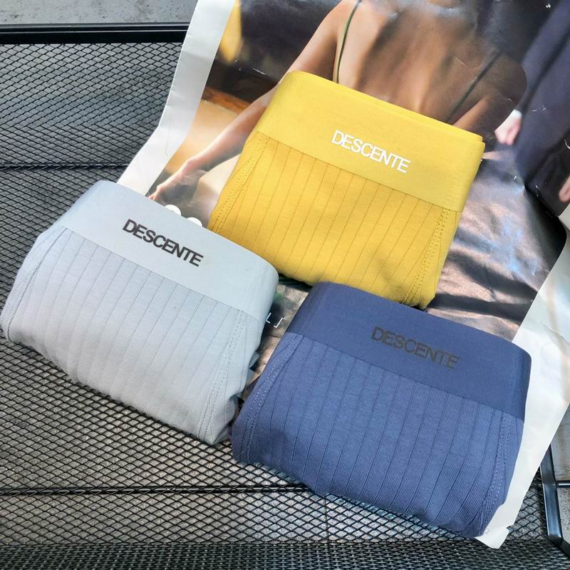 Descente boxer L-3XL   (9)