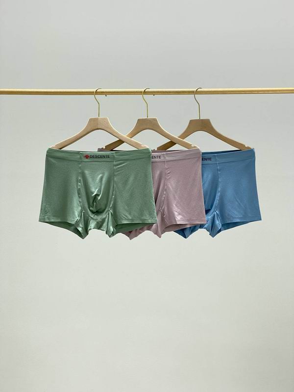 Descente boxer L-4XL (1)