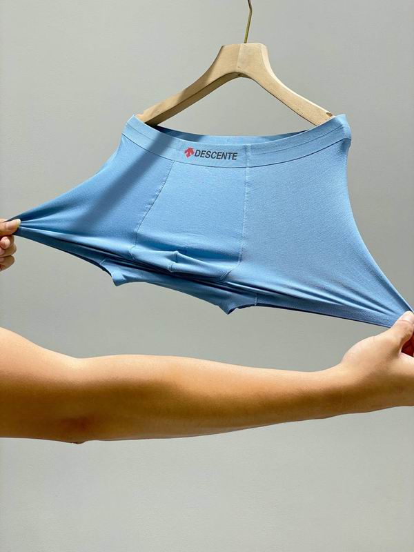 Descente boxer L-4XL (9)