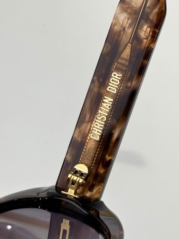 Dior Glasses 08smh04 (18)