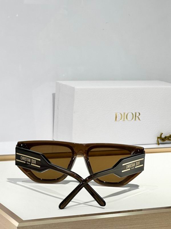 Dior Glasses 08smh37 (8)