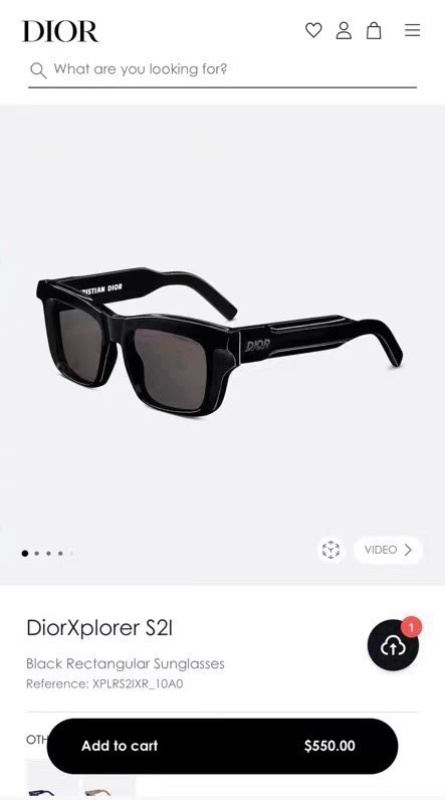 Dior Glasses 08smh61 (10)