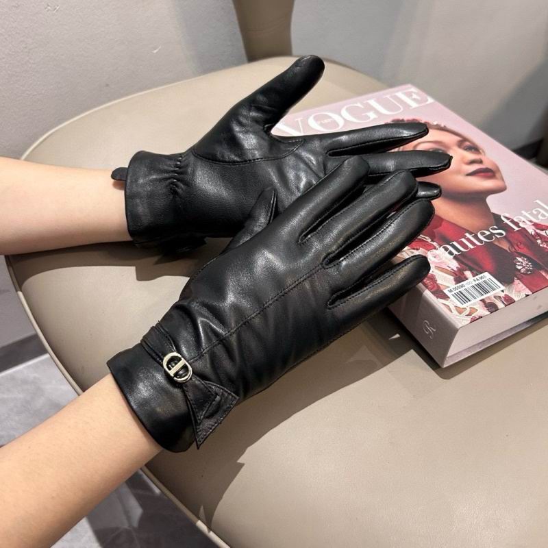 Dior Gloves hm (31)