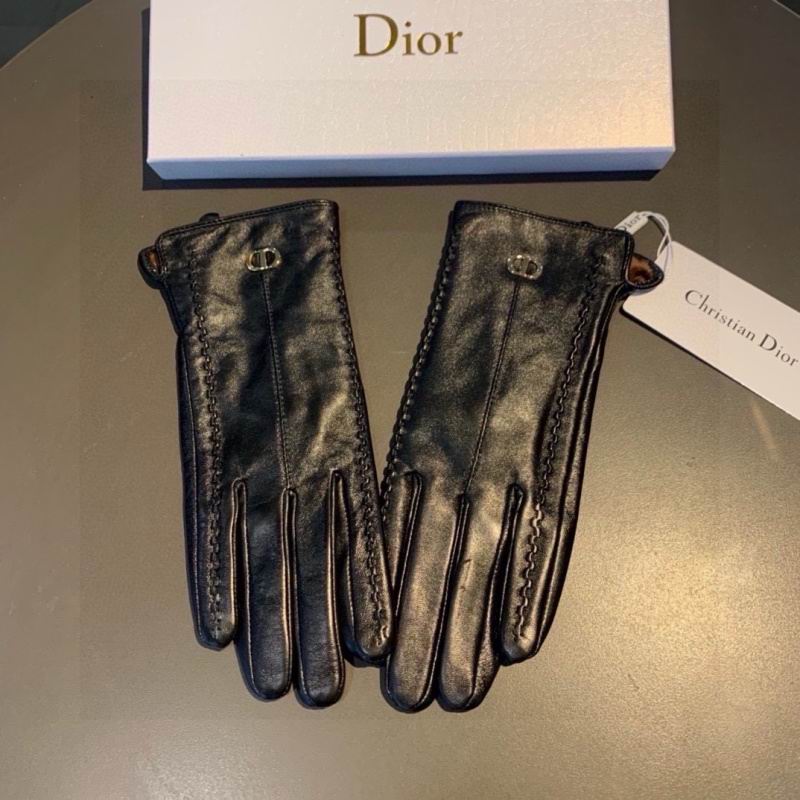 Dior Gloves hm (34)