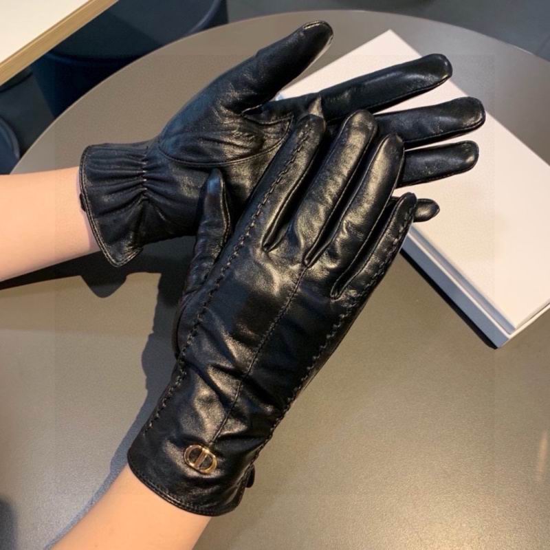 Dior Gloves hm (35)