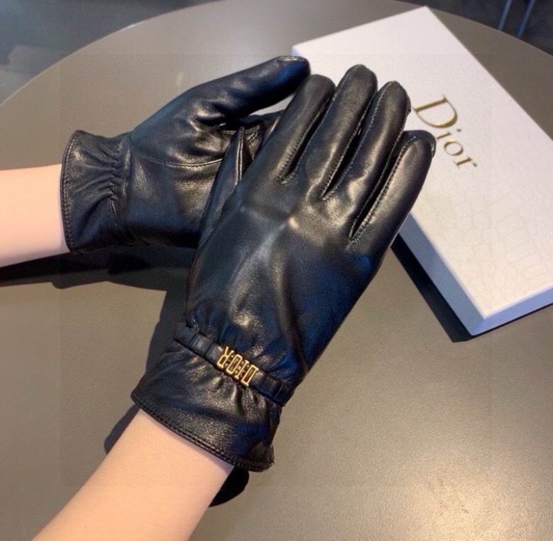 Dior Gloves hm (39)