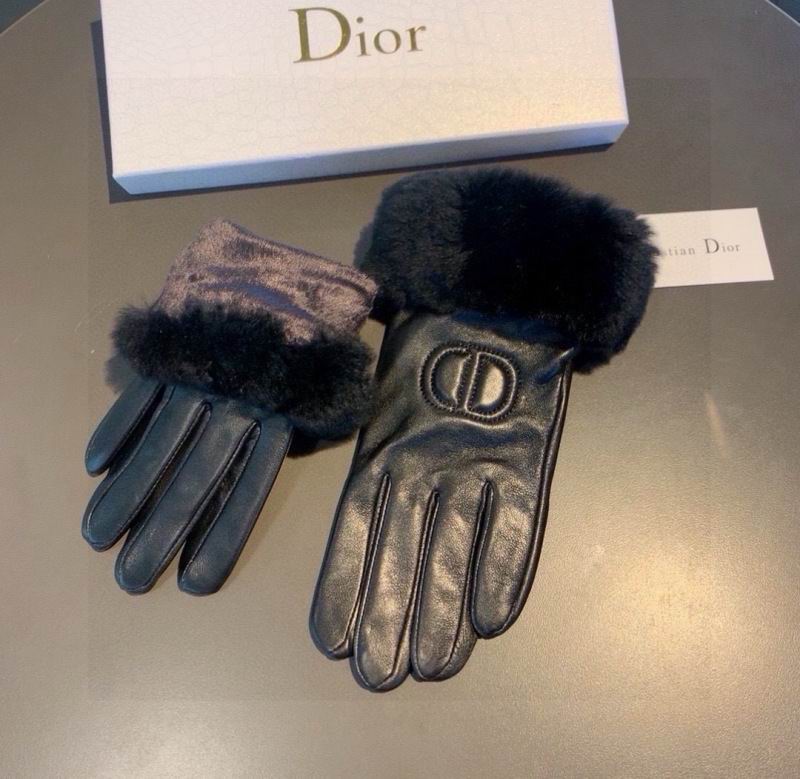 Dior Gloves hm (40)