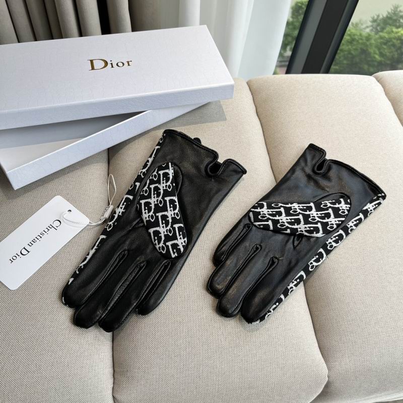 Dior Gloves hm (45)