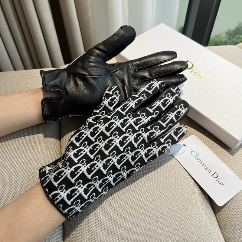 Dior Gloves hm (47)