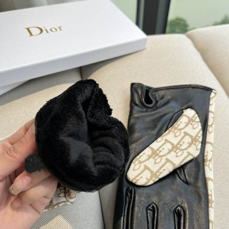 Dior Gloves hm (48)