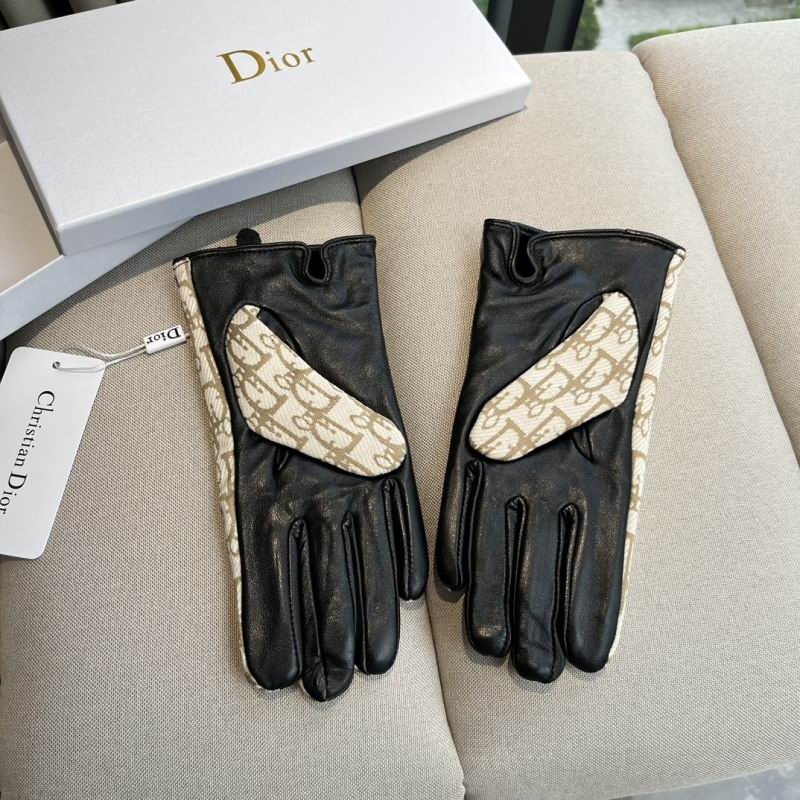 Dior Gloves hm (49)