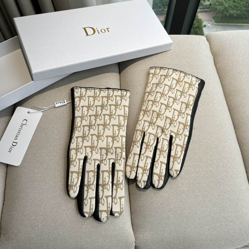 Dior Gloves hm (50)