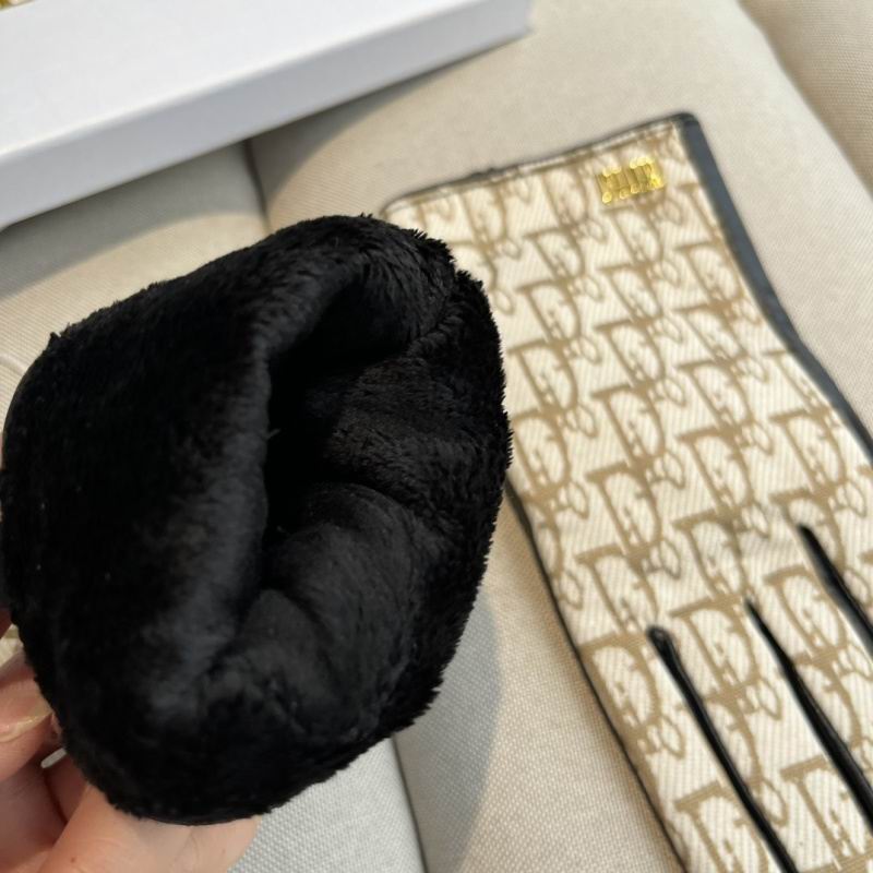 Dior Gloves hm (52)