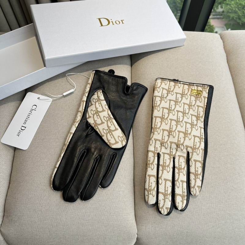 Dior Gloves hm (53)