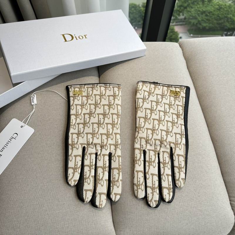 Dior Gloves hm (54)