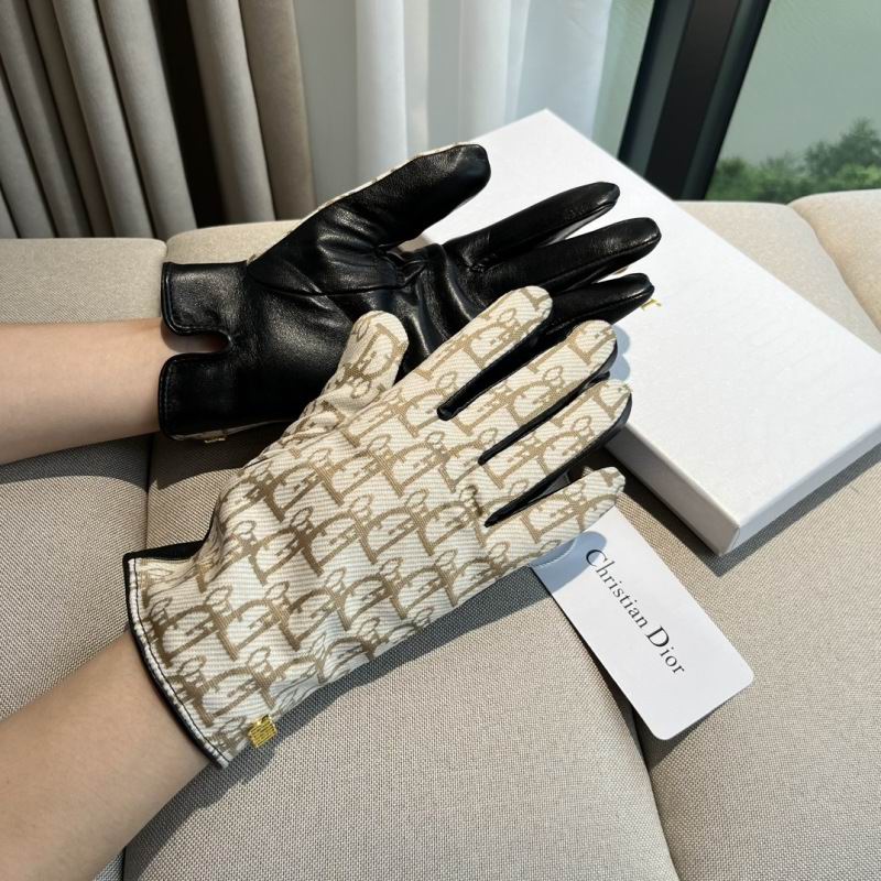 Dior Gloves hm (55)