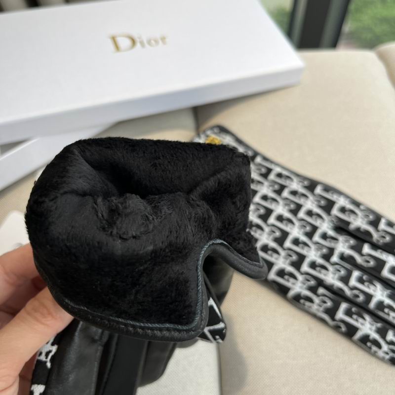Dior Gloves hm (56)