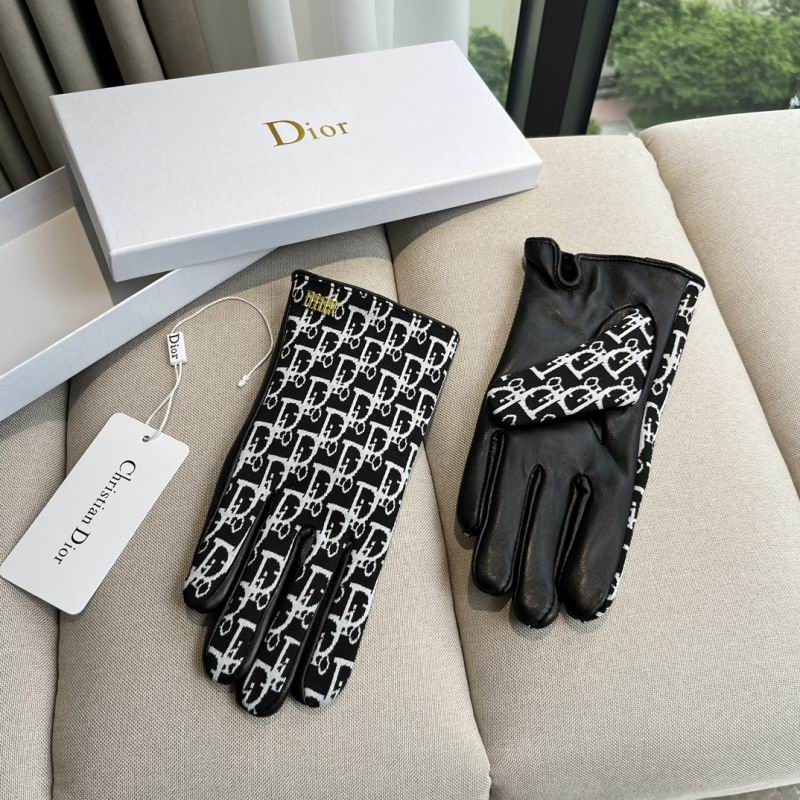 Dior Gloves hm (57)