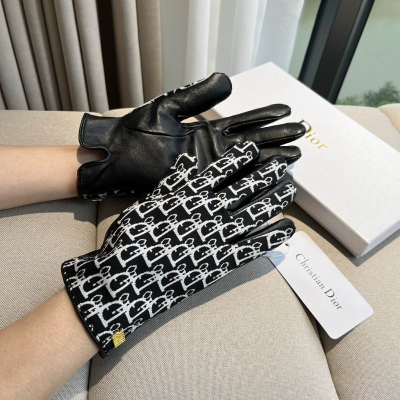 Dior Gloves hm (59)