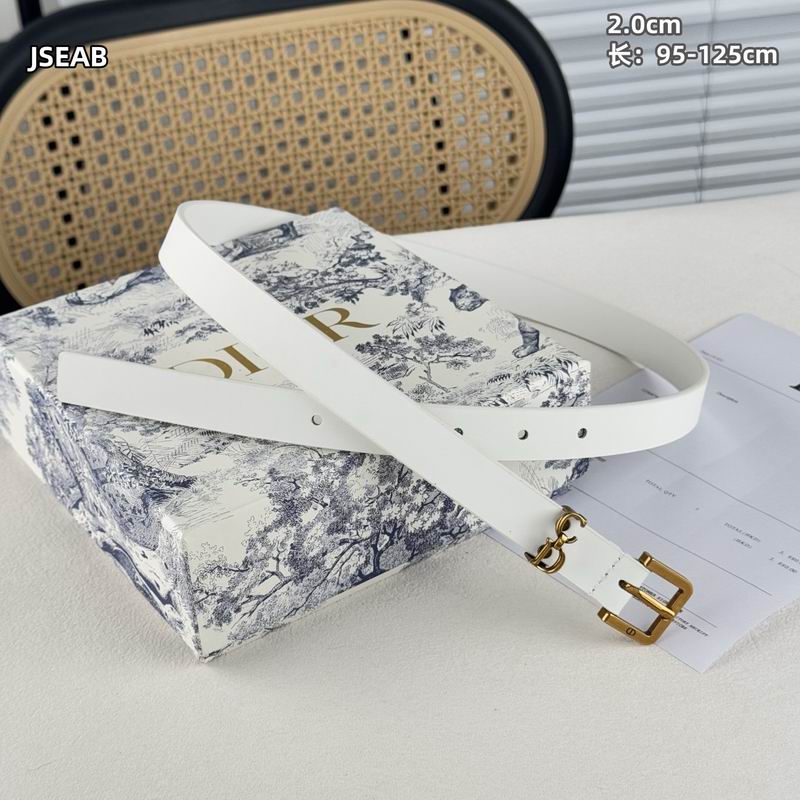 Dior belt 20mmX95-125cm 8L (14)