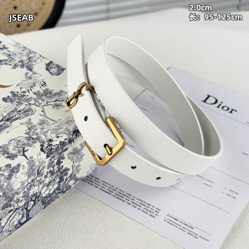 Dior belt 20mmX95-125cm 8L (16)