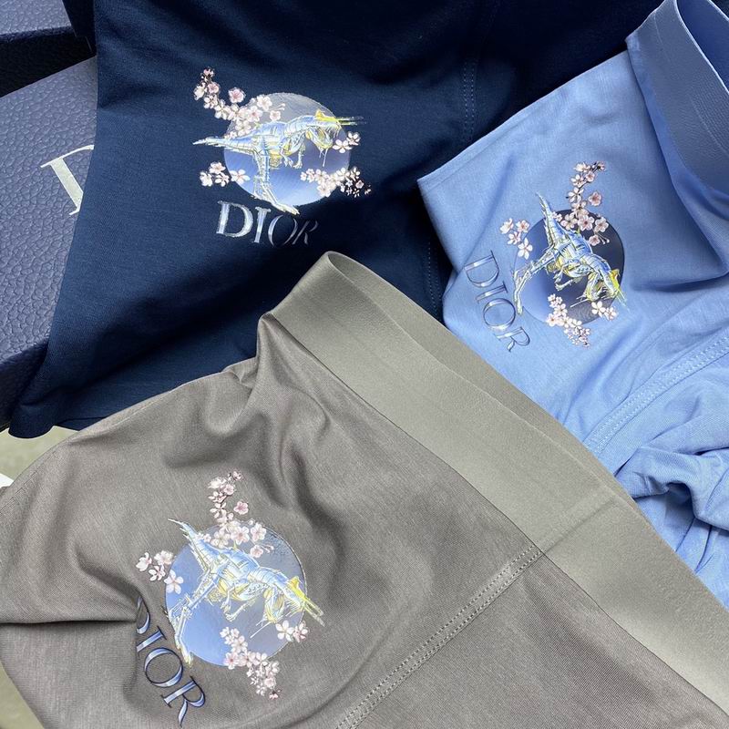 Dior boxer L-3XL  (1)