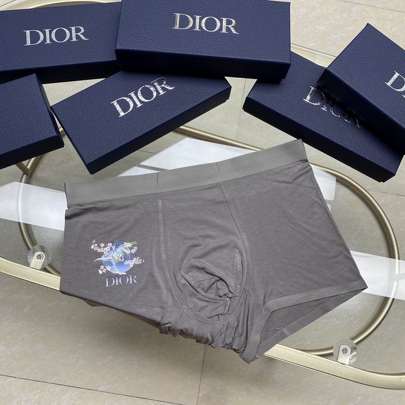 Dior boxer L-3XL  (5)