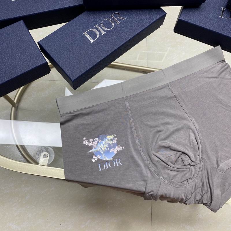 Dior boxer L-3XL  (6)