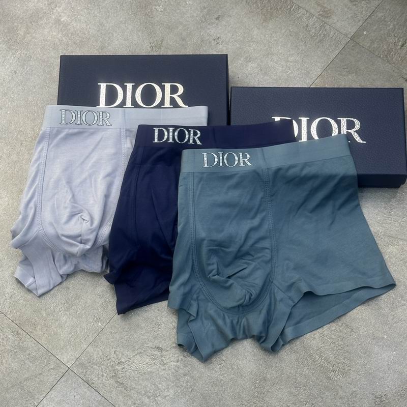 Dior boxer L-3XL 10 (4)