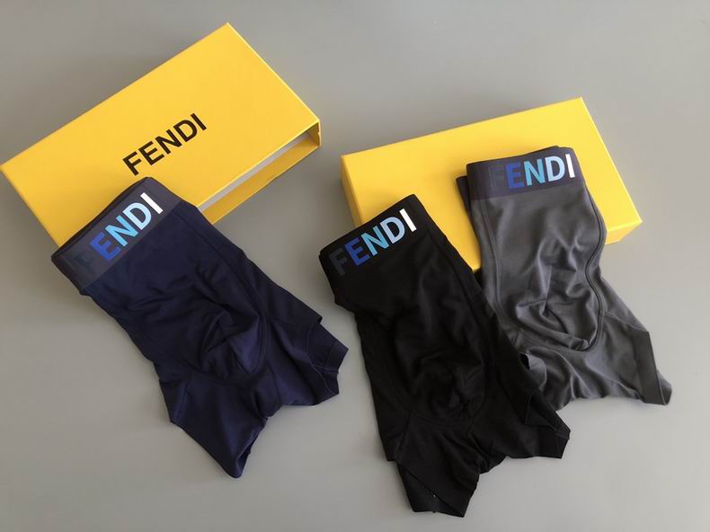 Fendi Boxer L-XXXL  (3)
