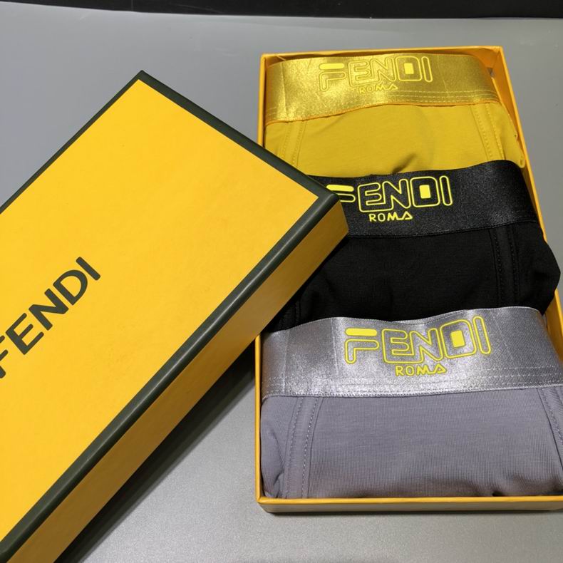 Fendi Boxer L-XXXL  (3)