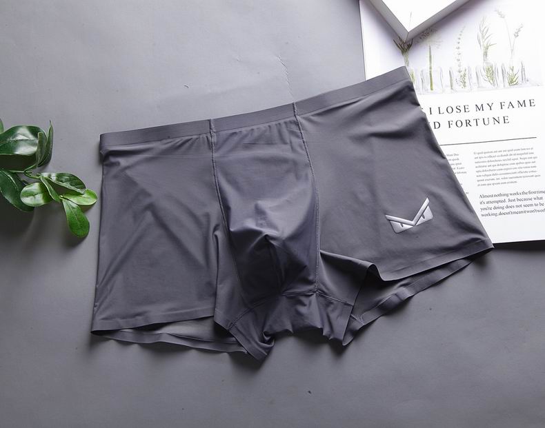 Fendi Boxer L-XXXL  (8)