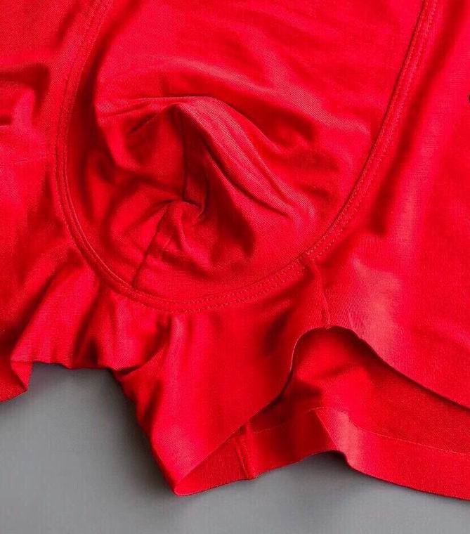 Fendi Boxer man L-3XL  (1)