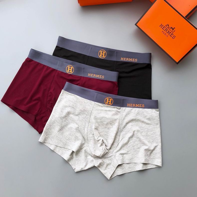 Hermes Boxer L-3XL  (3)