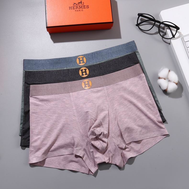 Hermes Boxer L-3XL   (3)