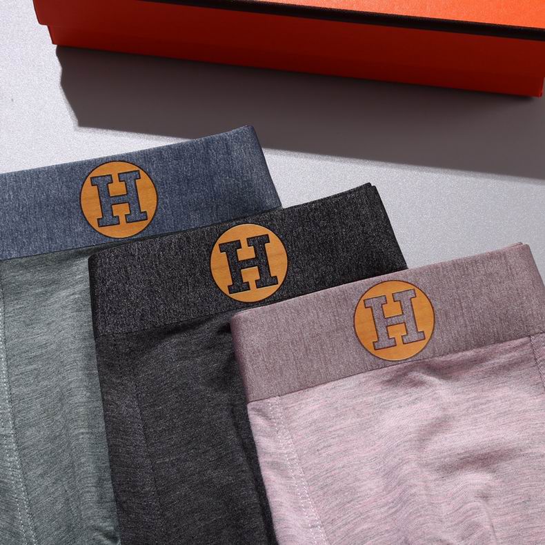 Hermes Boxer L-3XL   (4)