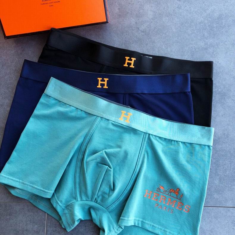 Hermes Boxer L-XXXL  (1)