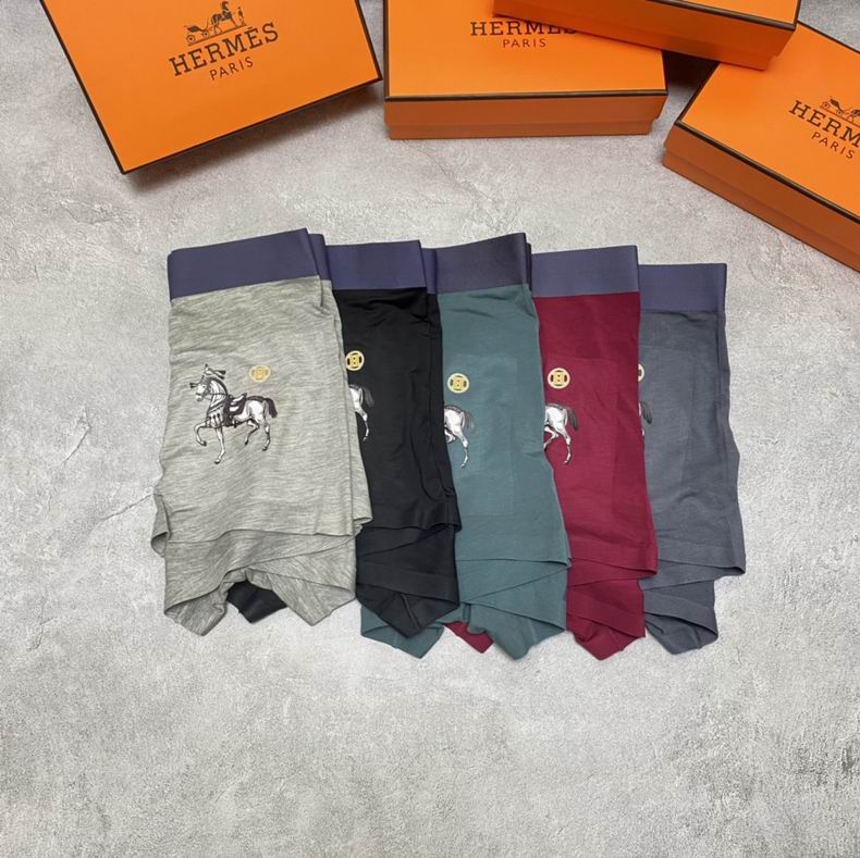 Hermes Boxer L-XXXL  (1)