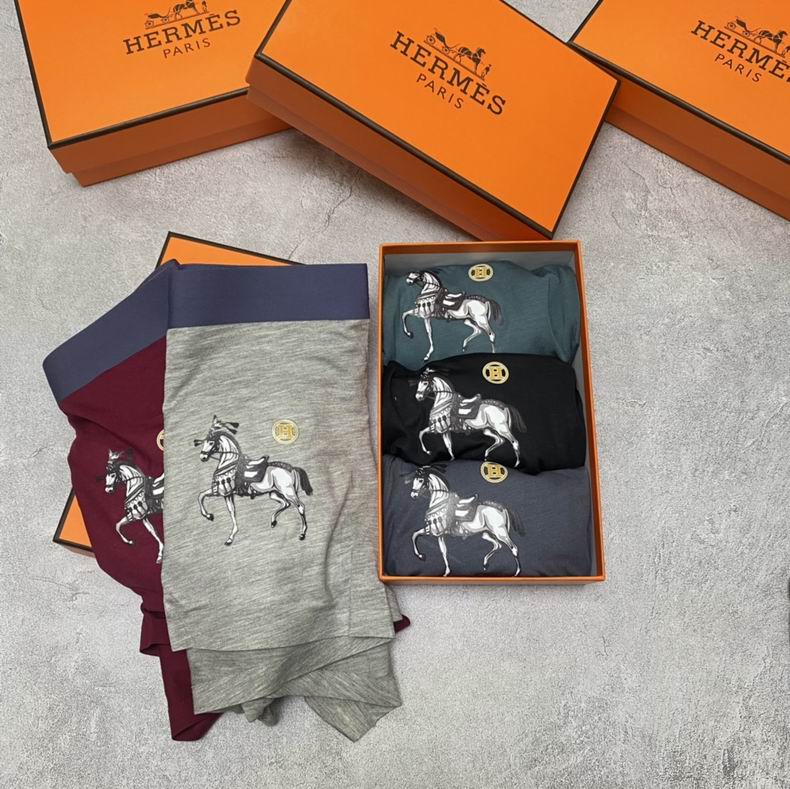 Hermes Boxer L-XXXL  (2)