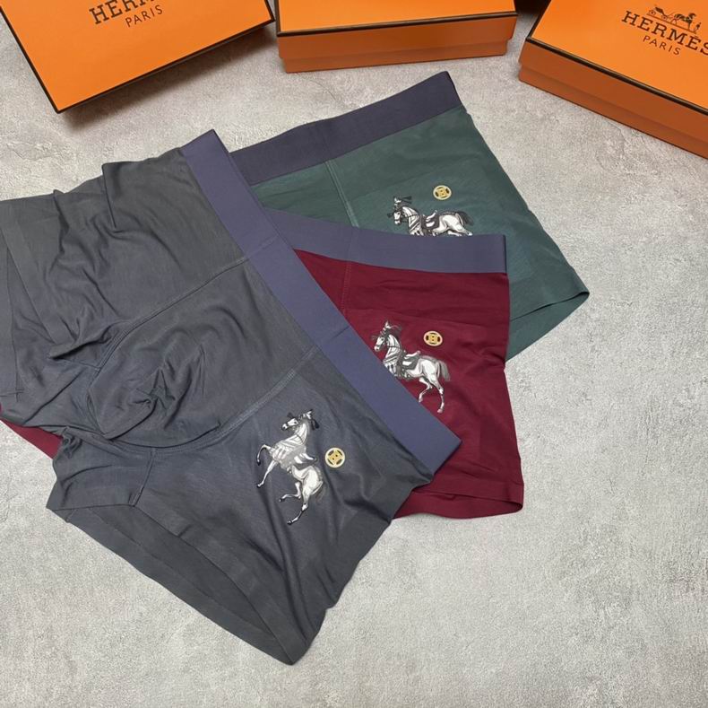 Hermes Boxer L-XXXL  (3)