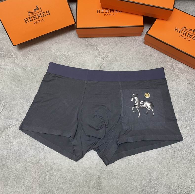 Hermes Boxer L-XXXL  (7)